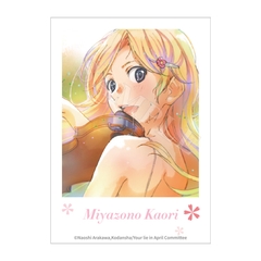 THẺ BÀI Shigatsu wa Kimi no Uso - Polaroid Box PACK CARD CHÍNH HÃNG