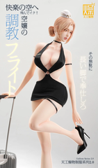 [PRE ORDER] MÔ HÌNH Flight Attendant (TGZW Studio) FIGURE CHÍNH HÃNG
