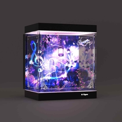 Hộp Trưng Bày MÔ HÌNH Castorice - Honkai: Star Rail - Gift+ - 1/8 - Star Rail Live Ver. (Myethos)(M Figure)Mica Box