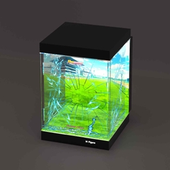 Hộp Trưng Bày MÔ HÌNH Tamamo Cross - Umamusume: Cinderella Gray - Banpresto Evolve (Bandai Spirits)(M Figure)Mica Box