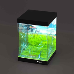 Hộp Trưng Bày MÔ HÌNH Tamamo Cross - Umamusume: Cinderella Gray - Banpresto Evolve (Bandai Spirits)(M Figure)Mica Box