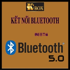 Loa Karaoke Kcbox KC 279 - Kcbox Việt Nam