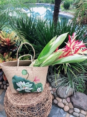 Lựa chọn ‘sống xanh’ cùng các sản phẩm thân thiện với môi trường