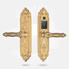 Khóa Điện Tử KASSLER KL-919 PRO GOLD APP