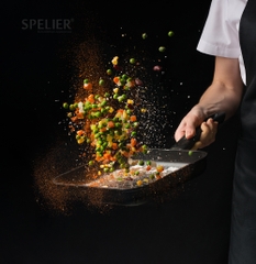 Bếp Từ SPELIER SPM-929I PLUS