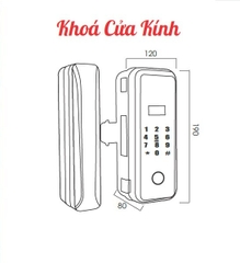 Khóa Điện Tử KASSLER KL-589 APP