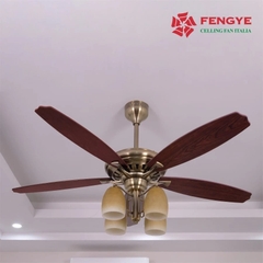 Quạt Trần FENGYE FY508