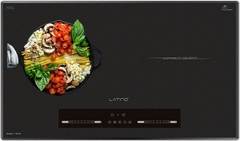 Bếp Từ LATINO LT- ML202