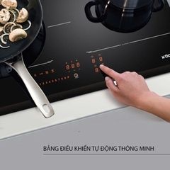 Bếp Từ KOCHER DI-866GE