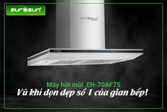 Máy Hút Mùi Eurosun EH-90AF75