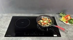 Bếp Điện Từ Eurosun EU-TE259PRO