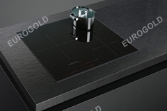 Bếp Từ EUROGOLD EUH2131