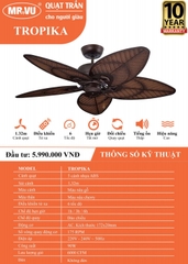 Quạt Trần Cho Người Giàu MR.VŨ TROPIKA