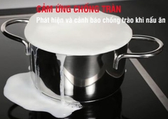 Bếp Từ LATINO LT-818I