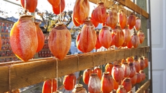 Lớp phấn trắng trên hồng treo gió liệu có phải bị mốc không?