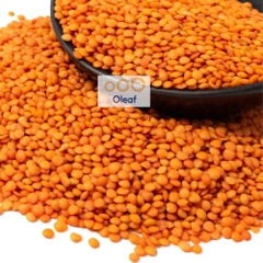 Đậu Lăng Đỏ Làm Sữa Hạt Nhập Khẩu Chính Ngạch Từ CANADA, OLEAF Hạt Dinh Dưỡng