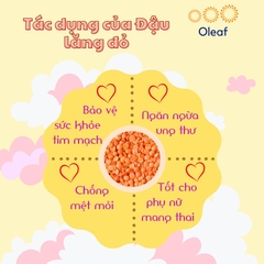 Đậu Lăng Đỏ Hữu Cơ Sottolestelle - Nhập Khẩu Chính Ngạch Từ Ý - OLEAF Hạt Hữu Cơ