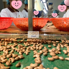 Hạt Điều Rang Muối Chất Lượng Loại 1, Giòn Thơm Không Hôi Dầu OLEAF