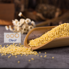Hạt Kê Nếp Vàng Nghệ An Đã Tách Vỏ, Sạch Sạn, Non GMO, Dẻo Thơm Đặc Biệt (Hạt Nhỏ/Hạt to) - OLEAF Hạt Dinh Dưỡng