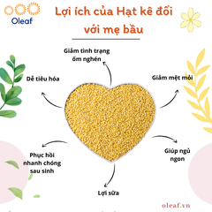 Hạt Kê Nếp Vàng Nghệ An Đã Tách Vỏ, Sạch Sạn, Non GMO, Dẻo Thơm Đặc Biệt (Hạt Nhỏ/Hạt to) - OLEAF Hạt Dinh Dưỡng