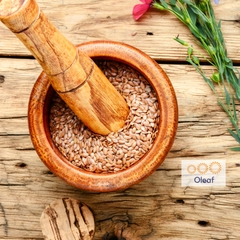 Hạt Lanh Nâu - Vàng Hữu Cơ 500g Probios Nhập Khẩu Từ Ý - Thực Phẩm Hữu Cơ, Đẹp Da, Giữ Dáng - OLEAF Hạt Hữu Cơ