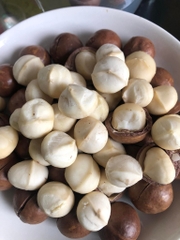 Hạt Macca Nứt Vỏ OLEAF Macca Lâm Đồng Chất Lượng Tốt Loại 1 - Giòn Thơm Không Hôi Dầu - Hạt Dinh Dưỡng