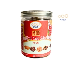 Trái Cây Sấy Không Đường Mix 5 Vị - Thêm Xoài Sấy Dẻo - Cho Mẹ Bầu Ăn Vặt Bổ Sung Dinh Dưỡng Đề Kháng - Oleaf Trái Cây Sấ