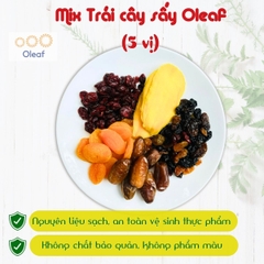 Trái Cây Sấy Không Đường Mix 5 Vị - Thêm Xoài Sấy Dẻo - Cho Mẹ Bầu Ăn Vặt Bổ Sung Dinh Dưỡng Đề Kháng - Oleaf Trái Cây Sấ