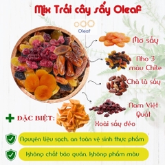 Trái Cây Sấy Không Đường Mix 5 Vị - Thêm Xoài Sấy Dẻo - Cho Mẹ Bầu Ăn Vặt Bổ Sung Dinh Dưỡng Đề Kháng - Oleaf Trái Cây Sấ