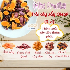 Trái Cây Sấy Không Đường Mix 5 Vị - Thêm Xoài Sấy Dẻo - Cho Mẹ Bầu Ăn Vặt Bổ Sung Dinh Dưỡng Đề Kháng - Oleaf Trái Cây Sấ
