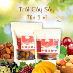 Trái Cây Sấy Không Đường Mix 5 Vị - Thêm Xoài Sấy Dẻo - Cho Mẹ Bầu Ăn Vặt Bổ Sung Dinh Dưỡng Đề Kháng - Oleaf Trái Cây Sấ