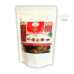 Trái Cây Sấy Không Đường Mix 5 Vị - Thêm Xoài Sấy Dẻo - Cho Mẹ Bầu Ăn Vặt Bổ Sung Dinh Dưỡng Đề Kháng - Oleaf Trái Cây Sấ