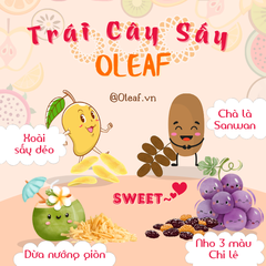 Khô Dừa Sợi Nướng Thơm Giòn Loại 1- Đặc Sản Bến Tre - OLEAF Trái Cây Sấy