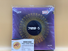 729-5