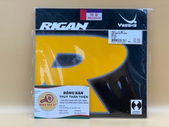 Yasaka Rigan NĐN