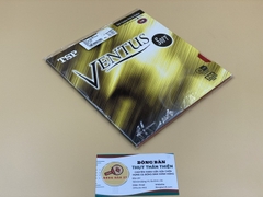 Ventus Soft - NĐN
