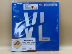 Ventus Limber - NĐN