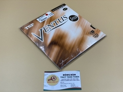 Ventus Speed