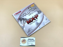 Tibhar Evolution MX-P
