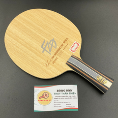 Fan Zhendong CNF NDN