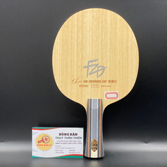 Fan Zhendong CNF NDN