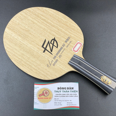 Fan Zhendong ZLC NDN