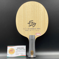 Fan Zhendong ZLC NDN