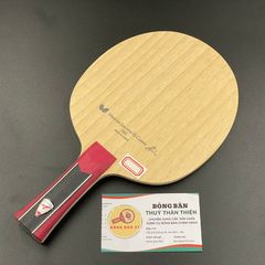 Mizutani Jun ZLC NDN