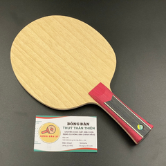 Mizutani Jun ZLC NDN