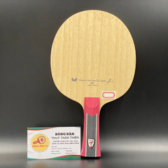 Mizutani Jun ZLC NDN