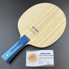 Timo Boll ALC NDN