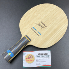 Zhang Jike ALC NDN