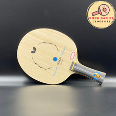 Zhang Jike ALC NDN