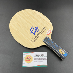 Fan Zhendong ALC NDN